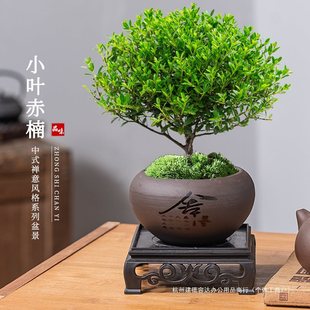 С�~����Ϙ������辰����ֲ���҃Ȼ����k��������С�Gֲ���B�ļ�