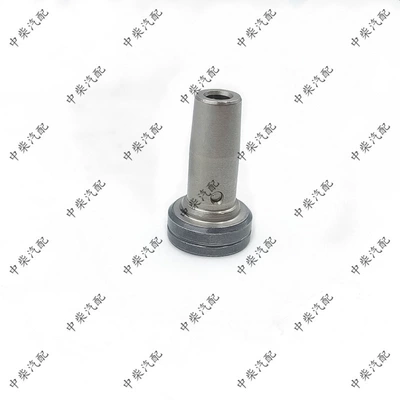 High pressure common rail Yanacaq injektoru (Forsunka)