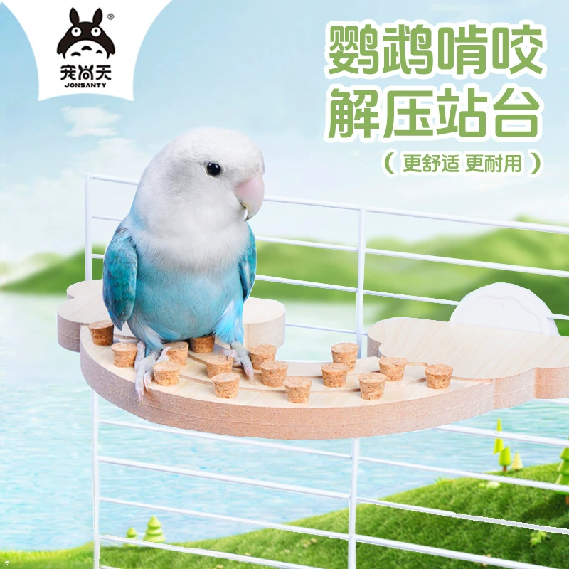 Любимая платформа попугая высвободила игрушки, кусая тигровую шкуру