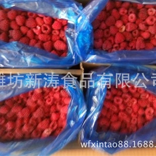 �ك��t��ݮ���Y�|���S�����깩؛��