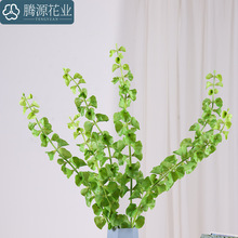 ��Ʒ�|����ؐ���� ؐ���� ؐ���~ �߶˘Ӱ��g��з��滨 ��Ʒ�~��