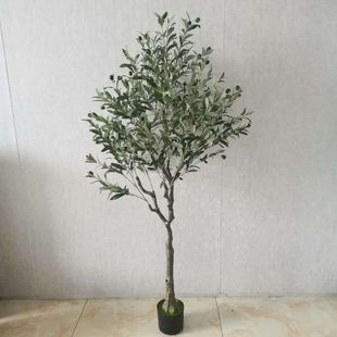 ���Wins�L�����ֲ���ϙ��Gֲ���Է��b��[�������҃ȾW�t�b�