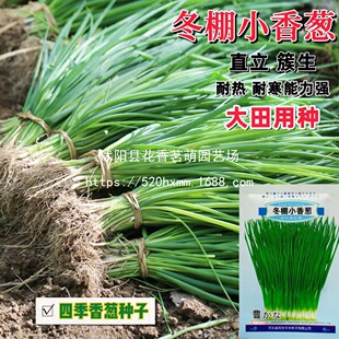 �ļ������L���u���[������[����С���[ ����С���[ֱ��������