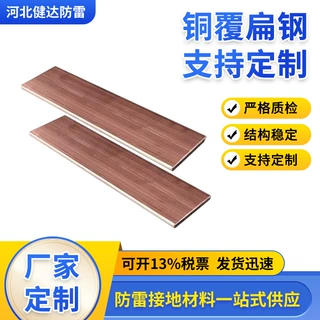 铜包钢扁钢40*4 50*5镀铜高导电高压塔接地引下线铜覆扁钢镀铜排