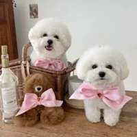 Корейские Rs Butterfly Butterfly Butterfly Butterfly Butterfly Pet Dogs Кошка украшает ошейник