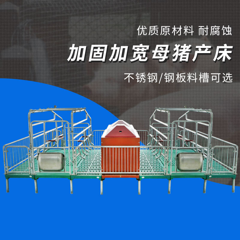 母猪仔猪产床现货 养猪厂母猪产床价格 母猪舍产床