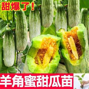 ɽ�|�۹���N������펧����������۾G��ʯ�����ӹ��ܹ����ϷN��