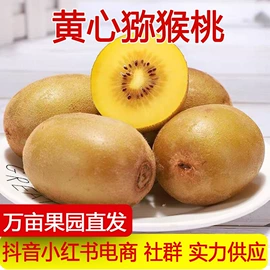 苹果;其他水果;梨