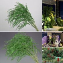 ��c�Gɫ��c�����J���ݻ�Y�õ���b�������·�����쾰��