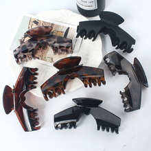 �l����ץ�A2024�¿�s���|����l�A���X�ױP�l��̖���~�A�߼���