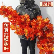 仿真红枫叶藤条挂墙装饰花塑料假花缠绕空调管道遮挡悬吊式天花板