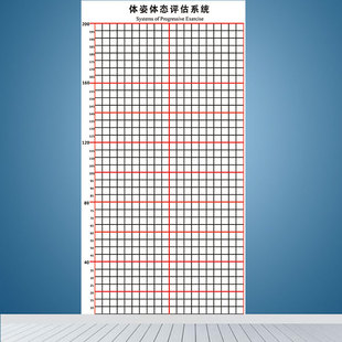 Posture Assessment Chart Mural Gym Body Test Form Body Shape Assessment Spine Wall Decoration Yoga Personal Trainer