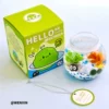 [Island Set] Coral Island*2 small balls*packaging