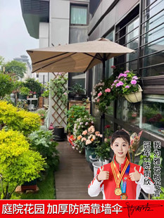 ������ꖂ㿿����߅��ͥԺ����̨�̨���@��������e�W�t���@¶̨
