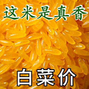 �|���S���������S����װ�H����s�Z�a�Sɫ�Ĵ������l