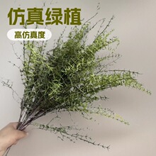 ����Gֲ����ާ����ᘲݼٲ��̈��쾰�b�ֲ��ܛ�b�廨���С��