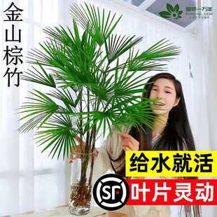 ��ɽ����ˮ��ֲ�����Ը��F���҃Ⱥ��B�͏d������ؔ��լˮ���ӾGֲ