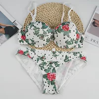 Трансграничный комплект нижнего белья bra сексуальный стильный бюстгальтер для девочек бюстгальтер со стальным кольцом