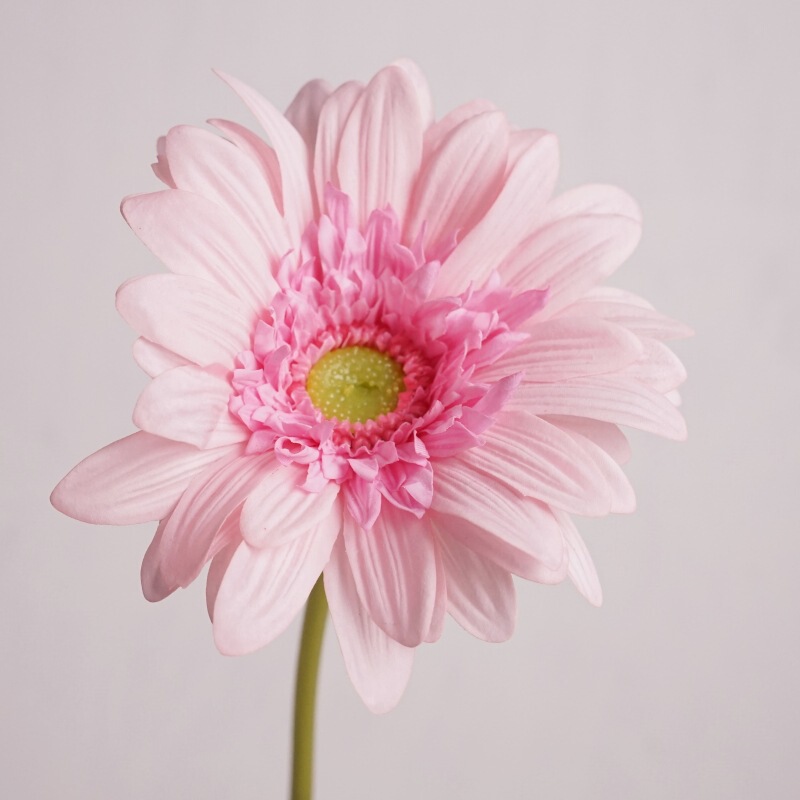 Feel moisturizing African chrysanthemum single artificial flower home decoration table decoration wedding fake flower photography props wholesale Feel moisturizing African chrysanthemum single artificial flower home decoration table decoration wedding fake flower photography props wholesale