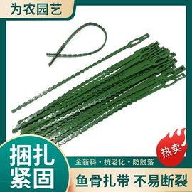 其他园林资材;花盆容器;园艺工具