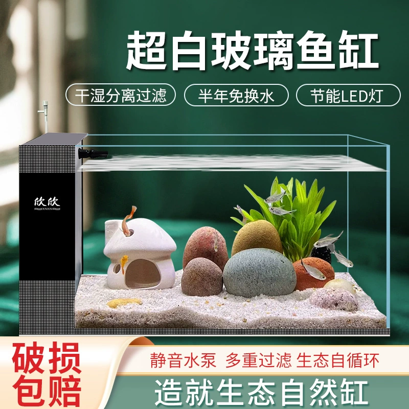 Shinxin Fish Tank Гостиная Домашний аквариум Супер Белое Стеклянное Небольшое Экологическое Самоциклическая Шелкография Фильтр Настольный Аквариум