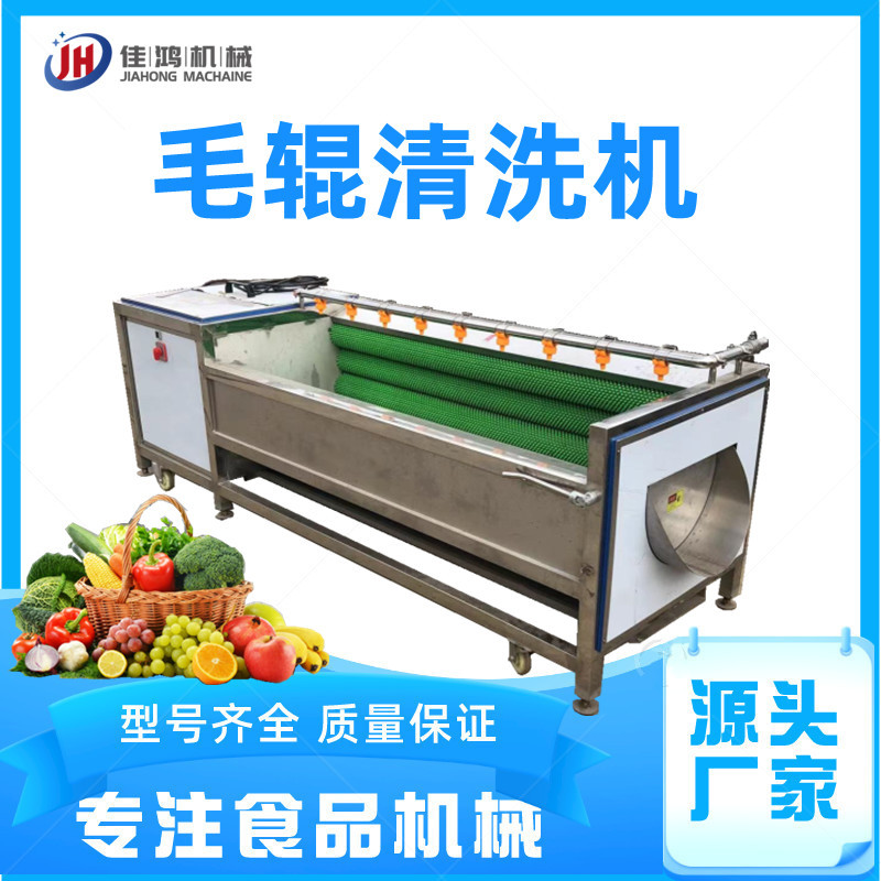 生蚝田螺毛辊清洗机 土豆莲藕清洗加工设备 根茎类蔬菜去皮机佳鸿