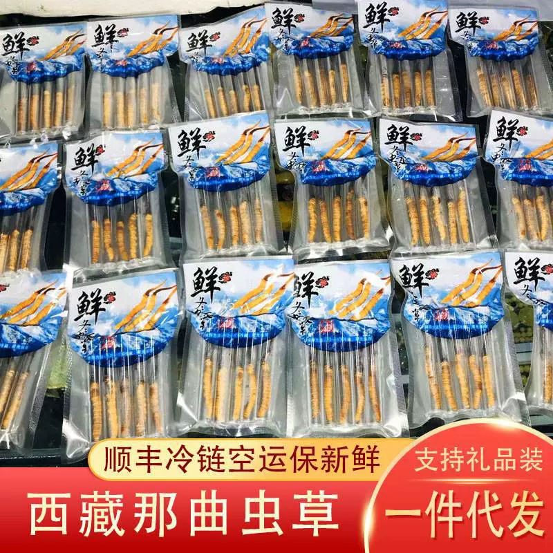 产地直发西藏新鲜冬虫夏草顺丰空运冷链可礼盒装一件代发虫草鲜草