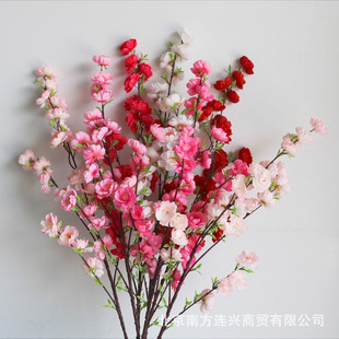 ���滨���������һ�÷���̈����̾��^���üҾӻ�ƿ�bٻ��Ҙ�֦