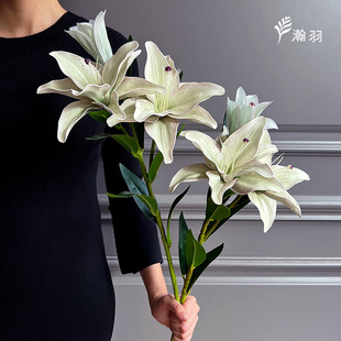 �ذ�3�^��ɫ�ٺϷ��滨 �߼��Ҿ��b�����յ��߻�c��������