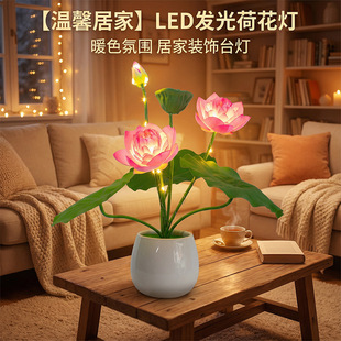 ��늺ɻ���Сҹ������ʽ�ҾӔ[���bՇ��������L�������ɏ����