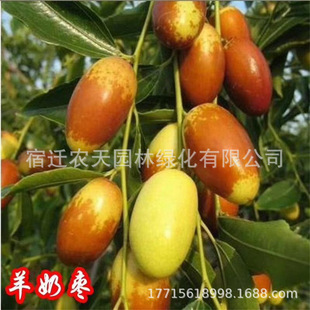 ���̽�z������糬���ش�޽��ϱ����Nֲ����Y����zС����ͥԺ