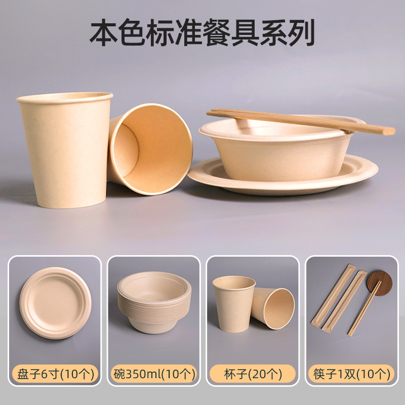本色标准餐具10套