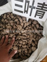 șlҰ~ 𾀵JzRʯʯ 500