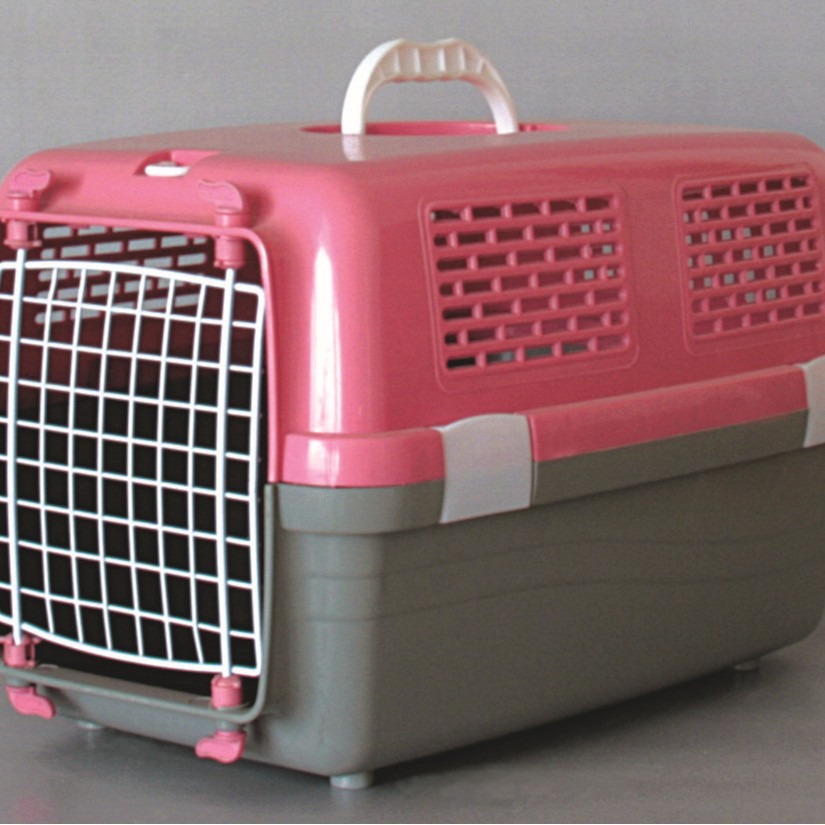 Pet Supplies Dogs Cats Product