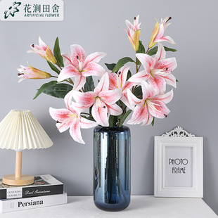 ���滨 �ϻ��m�ٺ� �Ҿ��b��̻�c�[���辰3D��ӡ�ٺ��zƬ�ٻ�