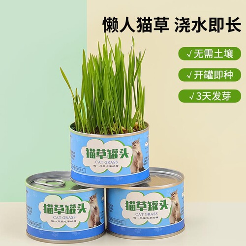 Wheat seed hydroponic cat grass canned seedling tray lazy cat hair ball piece dog grass mint potted plant manufacturer