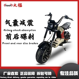 电动摩托车;其他电动车;两轮摩托车