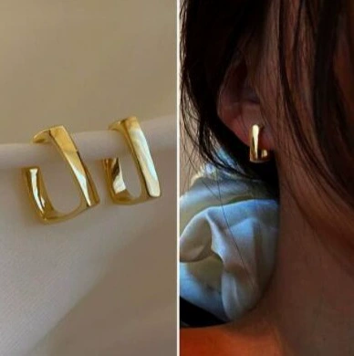 Silver 925 Earrings — Light Luxury Hoops & Drops, High-Quality Sterling, Multiple Sizes