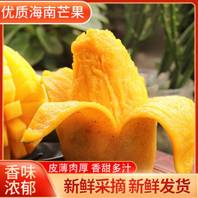 Hainan Small farmer Mango fresh fruit One piece On behalf of Mango Full container