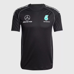 �羳ԽҰِ܇��2025�¿���N�������Polo���ٴ��W���a���ɰ�