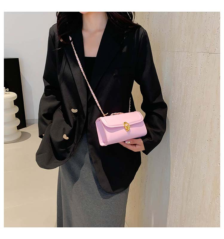 Cataramă cu lanț, ocazional, crossbody cu umăr, personalitate, culoare solidă, simplu 2024, frumos, pătrat mic, pentru femei_voghion.com