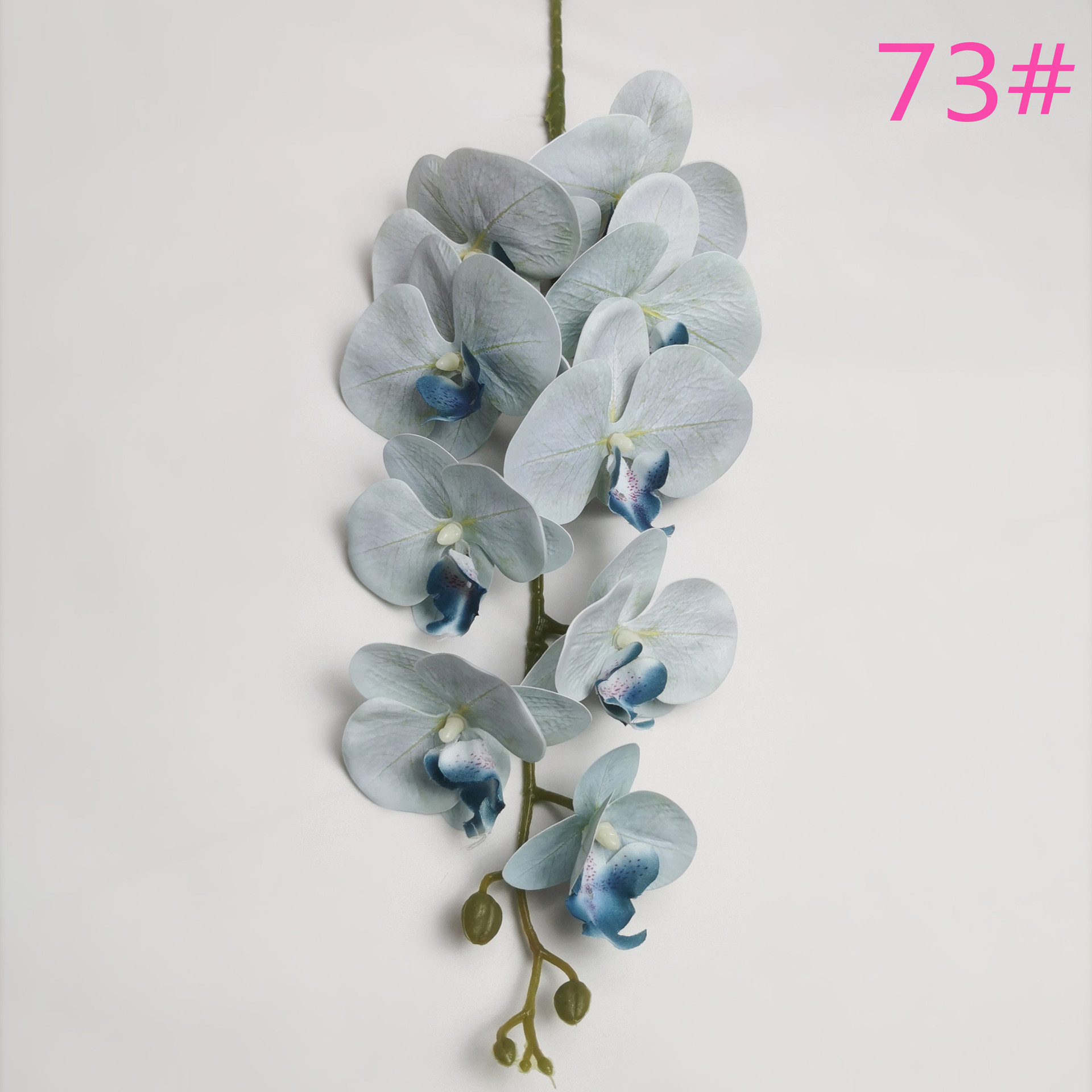 IMG_20220531_183606_副本