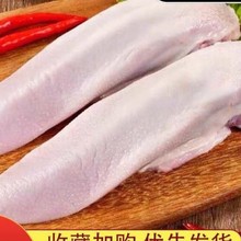 新鲜猪口条猪舌头士猪舌猪门腔饭店卤菜生猪肉散养食材顺丰猪排无