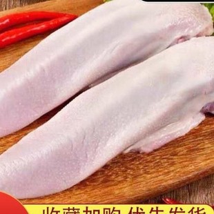 ���r�i�ڗl�i���^ʿ�i���i�Tǻ��u�����i��ɢ�Bʳ����S�i�şo
