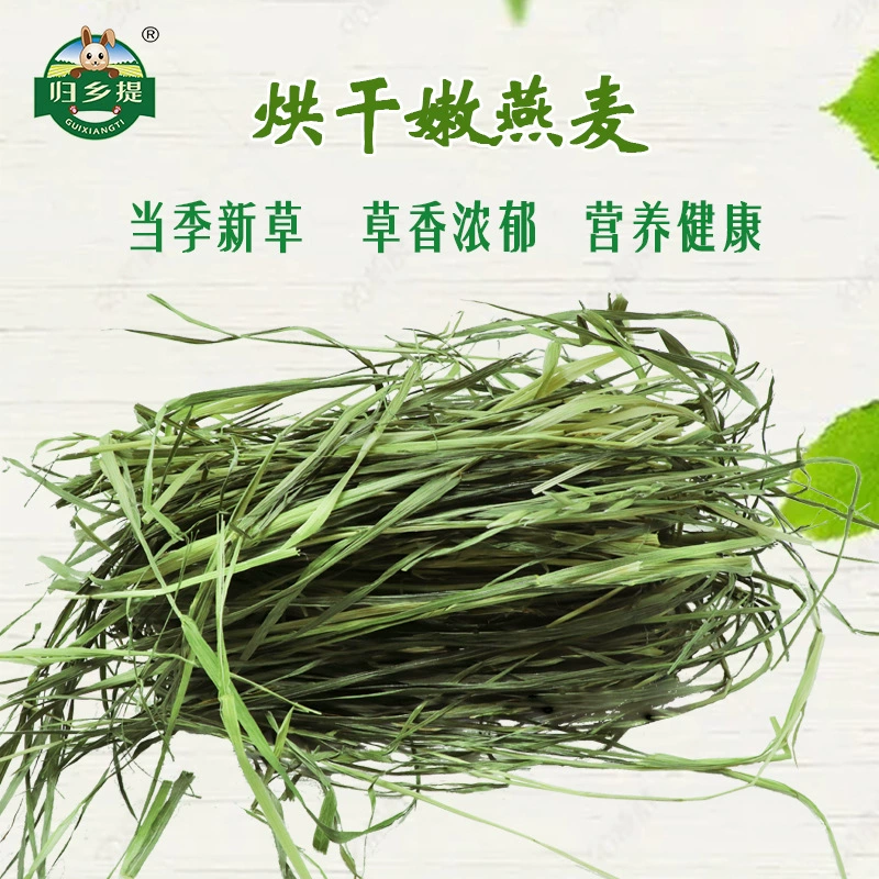 Оптовая продажа сушеного многолистного овсяного сена для чинчилл и кроликов, подходит для молодых кроликов.