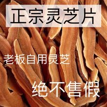 Ұ`֥Lɽ`֥ƬϰҰ`֥ƬBݾݲˮ