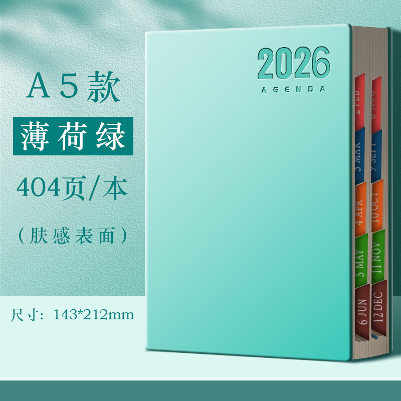 Agenda 2026 Cuaderno de notas Plan diario Cuaderno de notas Calendario Manual de tarjetas perforadas Gestión de eficiencia Autodisciplina
