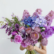 cɫϵ滨Yõbٻ·廨̨