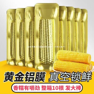 �|��10Ŵ����2025�������������հ��b���ʹּZ���r�����S����