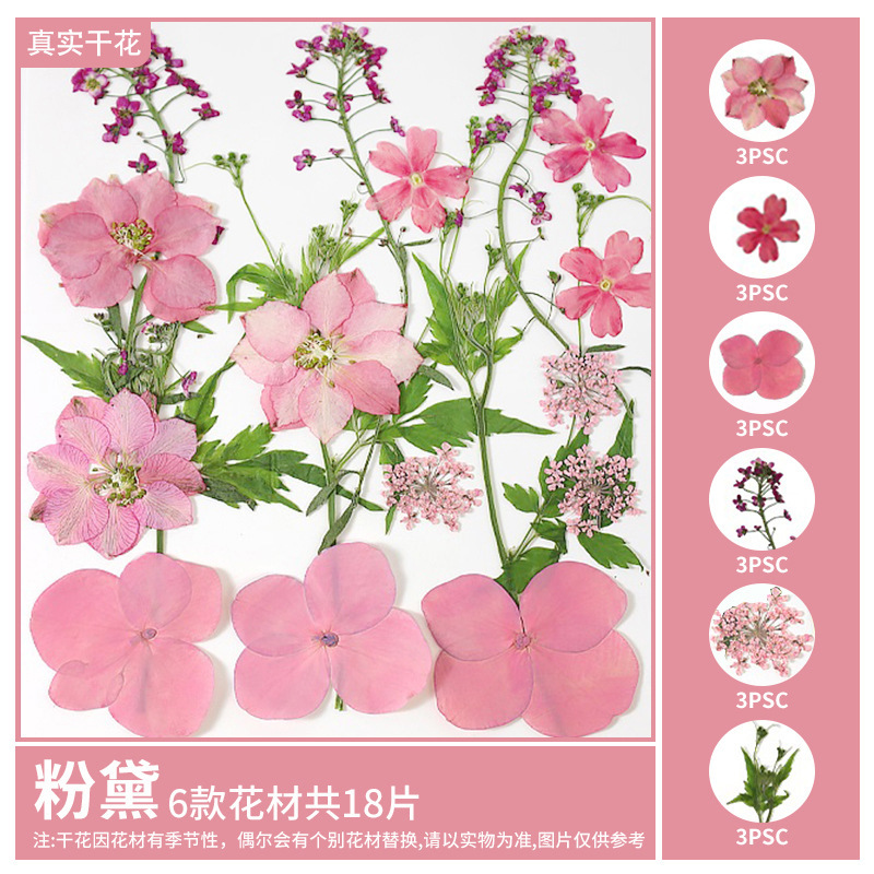 干花diy材料包永生花压花片押花草手工滴胶书签真花植物树叶标本|undefined